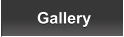 Gallery Gallery